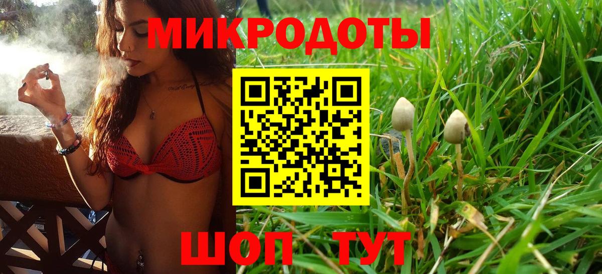 Галлюциногенные грибы GOLDEN TEACHER Дзержинск